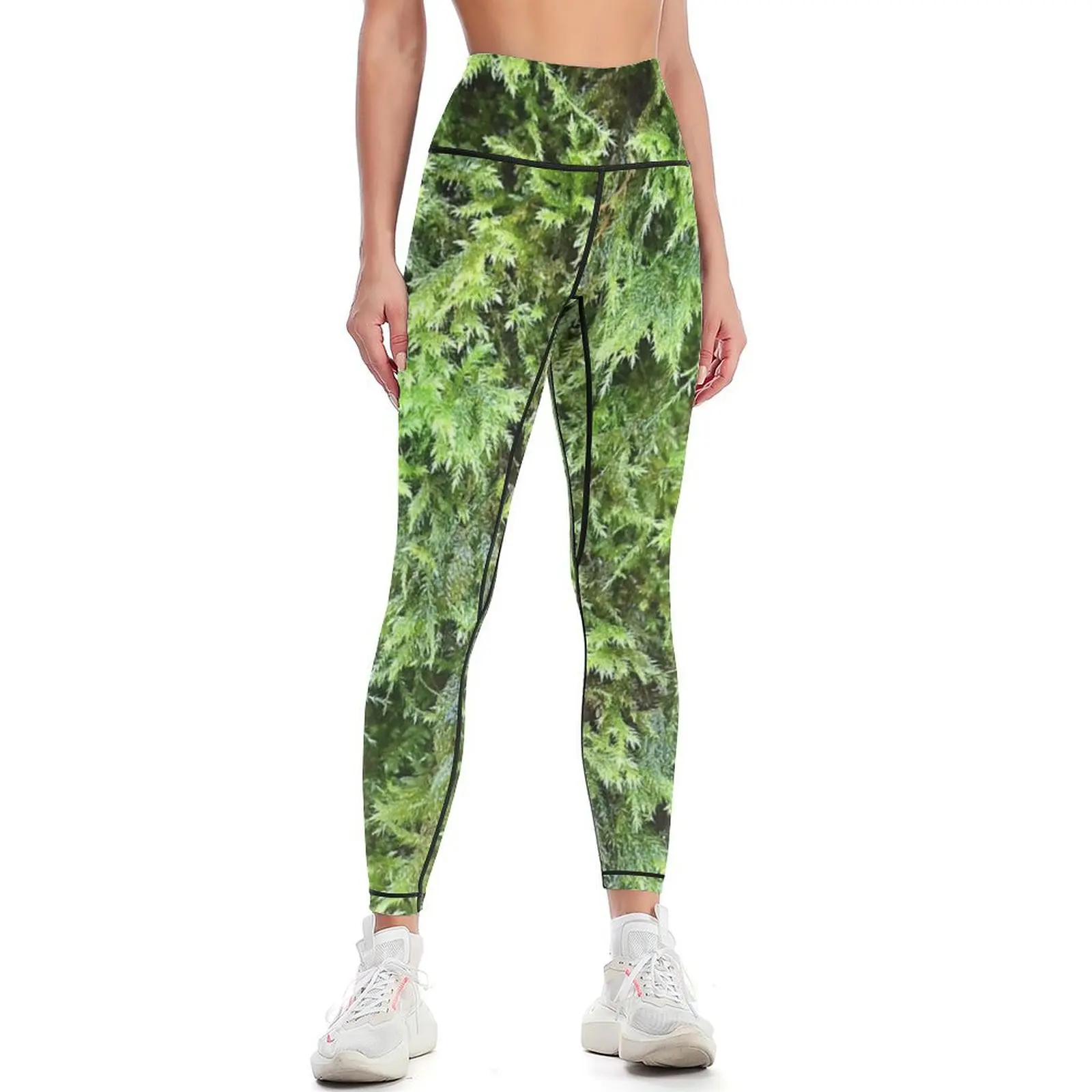 Photography of moss 1 Leggings - Photography Yoga ulasan dan harga