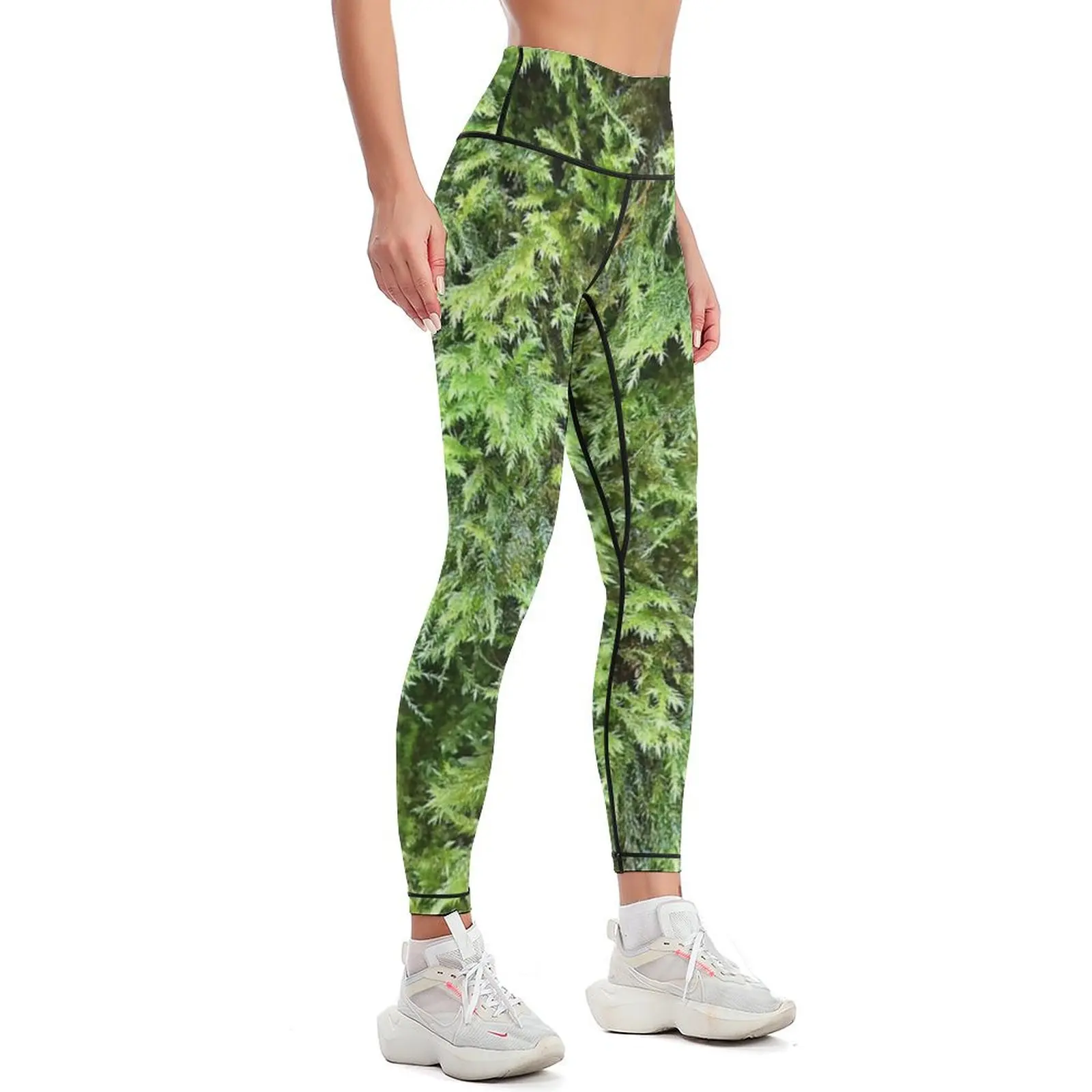 Photography of moss 1 Leggings - Photography Yoga ulasan dan harga
