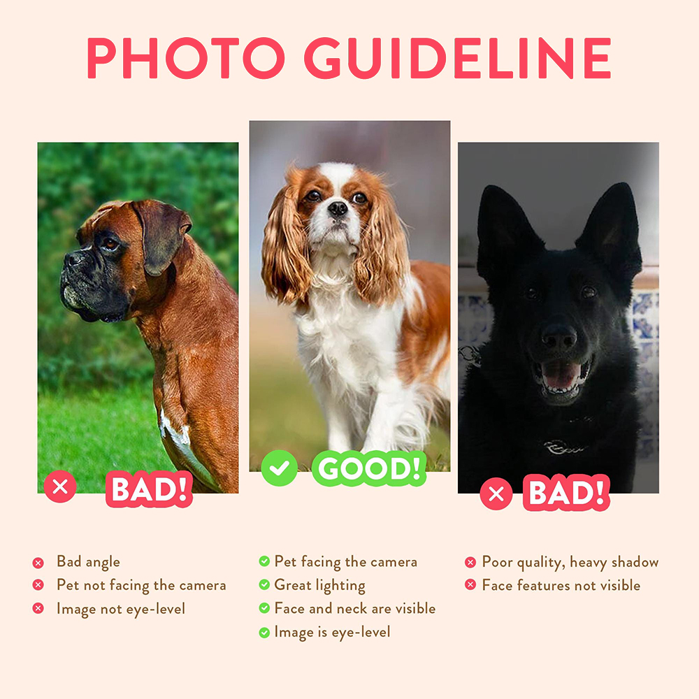 Personalized Pet Portraits Pho - Photography Poster ulasan dan harga