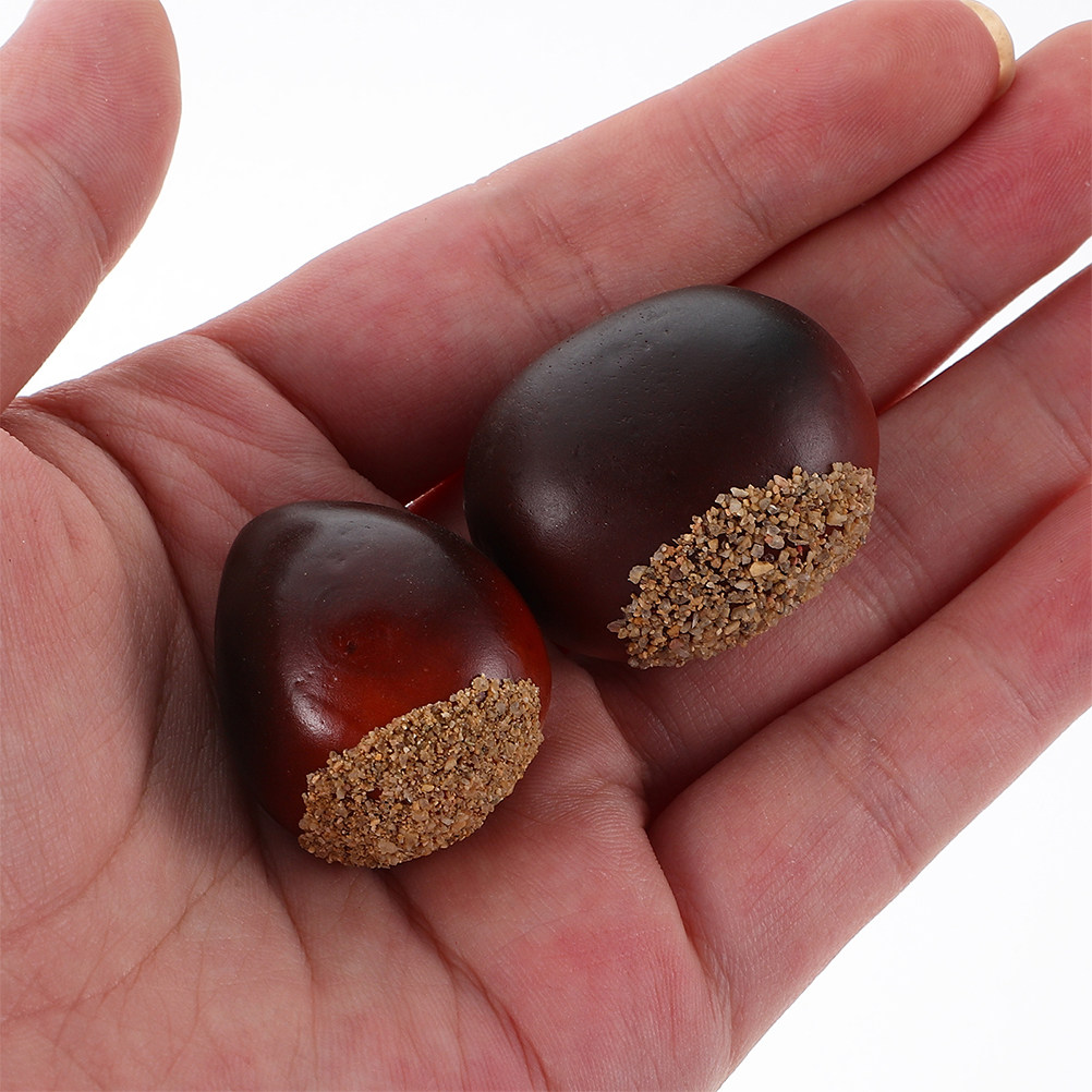 30Pcs Fake Nuts Decor Lifelike - Photography Aesthetic ulasan dan harga