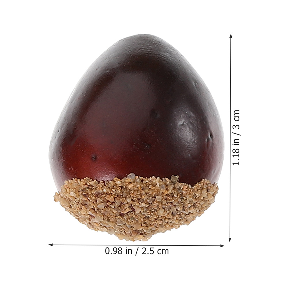 30Pcs Fake Nuts Decor Lifelike - Photography Aesthetic ulasan dan harga