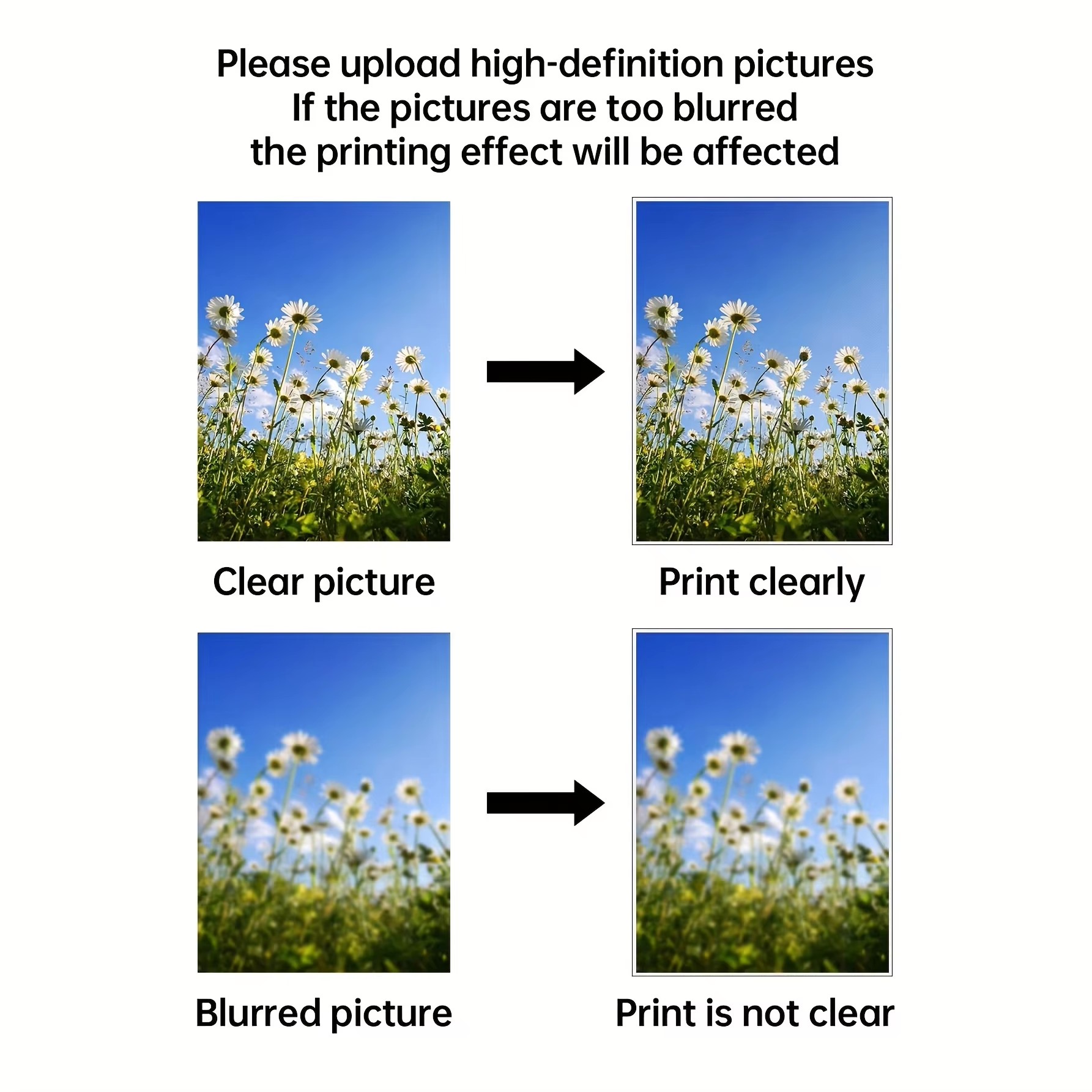Custom Print Canvas Painting F - Photography Poster ulasan dan harga